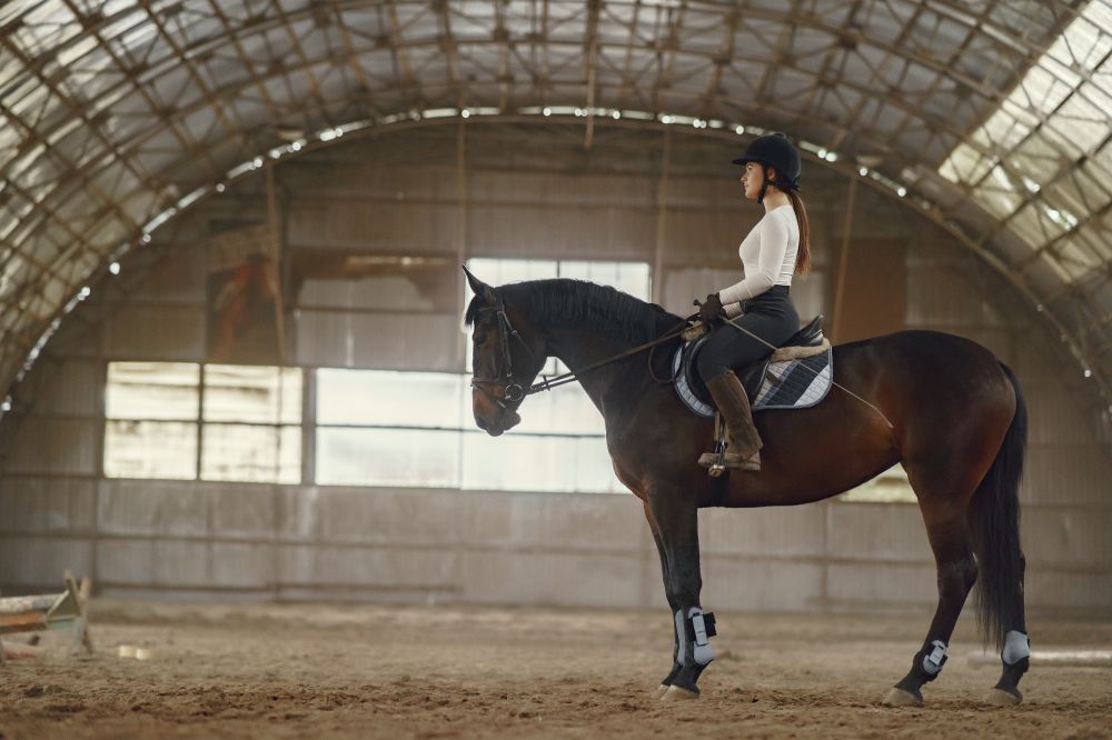 Optimale træningsforhold til din hest: vælg den perfekte ridehal